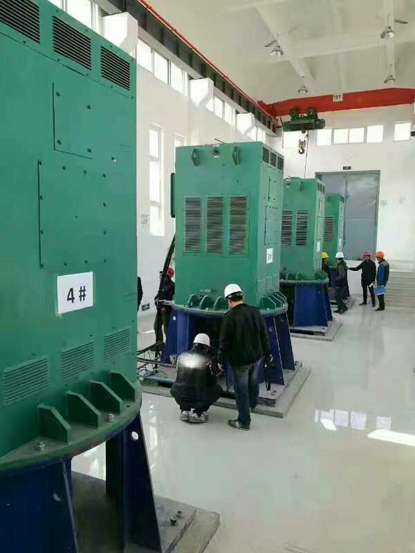 茂南某污水处理厂使用我厂的立式高压电机安装现场